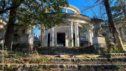 abandoned building in a forest