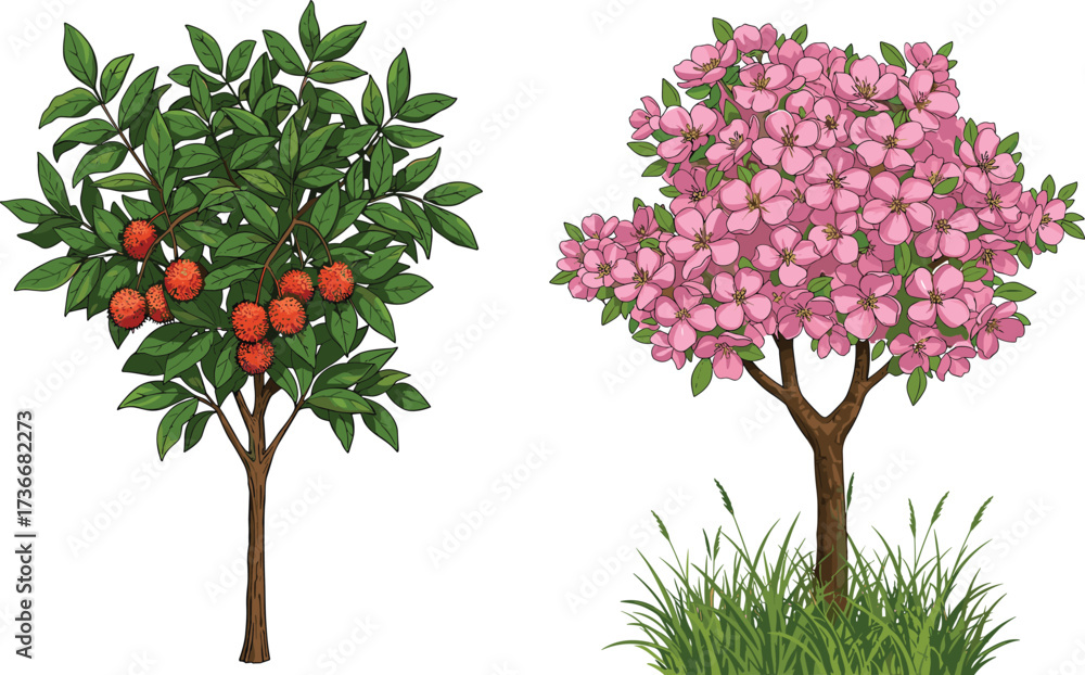 Fototapeta premium Red orange fruit, pink blossom tree, green grass cluster, botanical diversity, seasonal contrast, nature study, plant structure, foliage texture, landscape vegetation