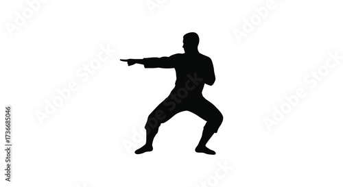 Silhouette of martial artist practicing karate in dynamic fighting stance ready to attack isolated on white