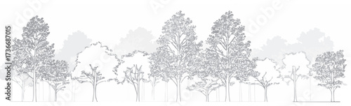 Architectural Drawings, Minimal style cad tree line drawing, Side view, set of section wetland forest outline for landscape design drawing