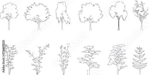Minimal style cad tree line drawing, Side view, set of graphics trees elements outline symbol for architecture and landscape design drawing white background and landscape design presentations.. Vector