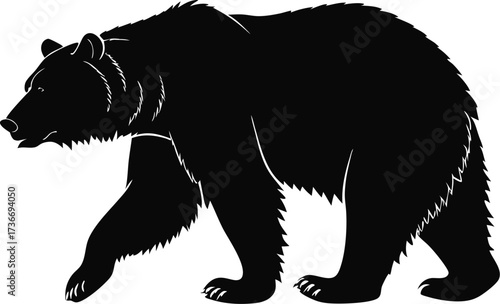 Vector Style Grizzly Bear Walking Left to Right Shaggy Fur and Strong Posture Minimalist Design