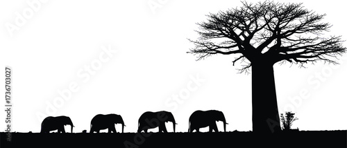 African Wildlife Silhouette – Elephants Walking with Baobab Tree in Savanna Landscape for Nature, Conservation, Safari, and Design Themes