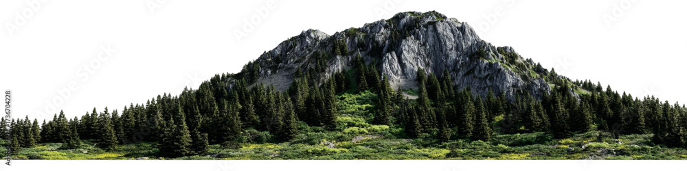 Obraz premium PNG of Breathtaking mountain landscape with dense evergreen trees and rocky hillside, inviting nature lovers to explore.