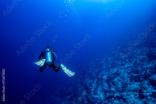 A diver descending on a reef in Maratua atoll in the Derawan archipelago in Indonesia