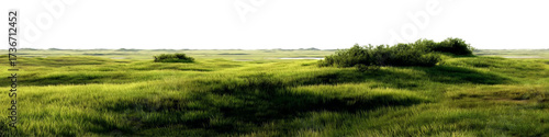 PNG of Lush green hillside landscape with gentle slopes and small bushes, creating a serene and inviting atmosphere.