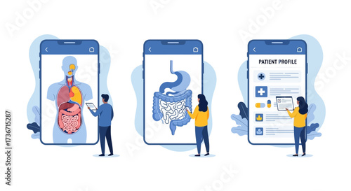 Interactive Human Anatomy and Digestive System Education App for Medical Professionals and Students