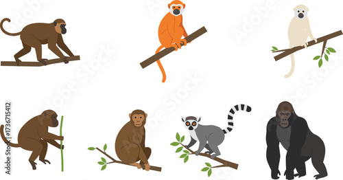 Cartoon primates, monkey illustration, jungle animals, tree branches, lemur vector, gorilla clipart, playful wildlife, cute forest creatures, animal drawing, nature art