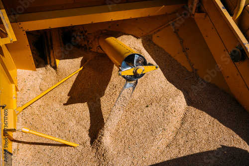Agricultural machinery processing grain in Guadalajara
