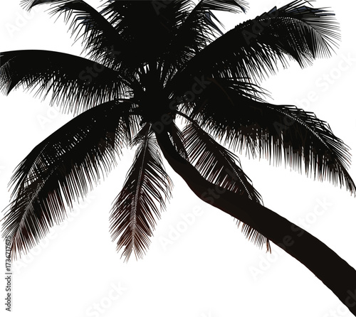 Palm Tree Silhouette Vector – Tropical Icon with Curved Trunk and Fronds for Nature, Travel, Summer, and Design Themes