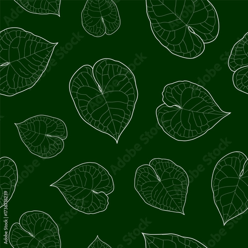 Abstract botanical pattern. Seamless print composed of green line of leaves of anthurium clarinervium on black background.