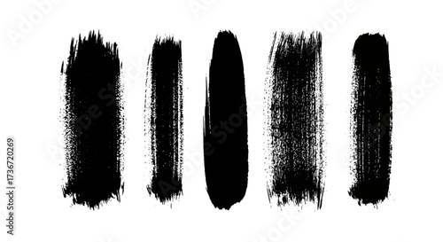 A Collection of Black Paint Brush Strokes and Textures on a White Background