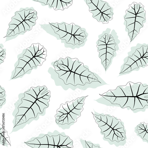 Abstract botanical pattern. Seamless print composed of black line and blue green silhouette of leaves of alocasia polly on white background. Botanical colorful background.