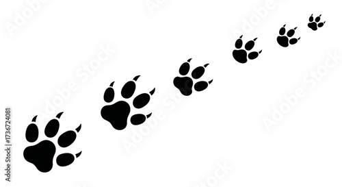 A Sequence of Animal Paw Prints Showing a Trail of Footprints in the Snow or Mud Illustrating Movement and Exploration