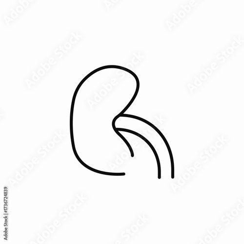 kidney organ icon sign vector