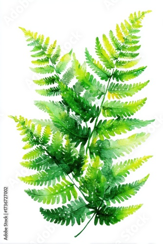 Wallpaper Mural Watercolor Fern on White Canvas. Isolated Green Foliage for Natural Decor and Print Design Torontodigital.ca