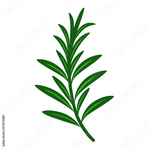 Rosemary silhouette vector art. rosemary isolated on white background.
