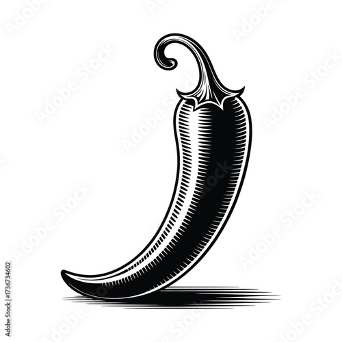 Vintage engraving style black chili pepper illustration
