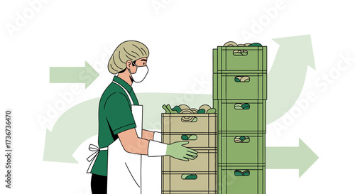 Processing Produce: Food Handler Arranging Crates Amidst Arrows Illustrating Logistics
