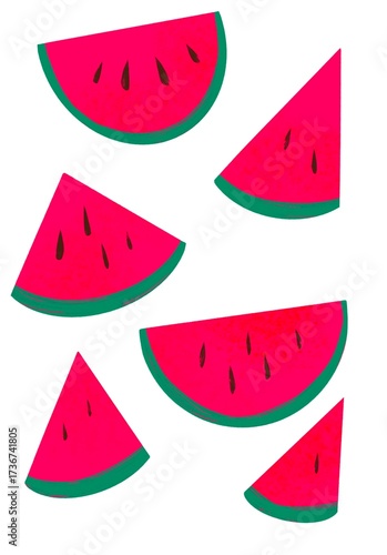 Illustrated watermelon slices