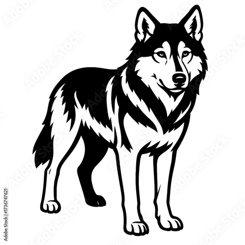 Gray Wolf Vector Illustration - Wildlife Graphic