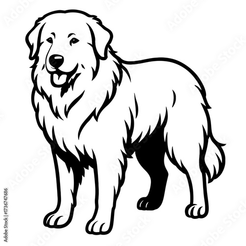 Great Pyrenees Dog Vector Illustration - Domestic Animal Graphic