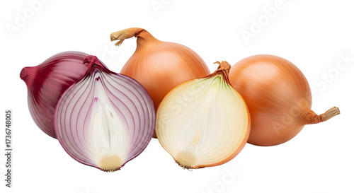 Variety of Whole and Halved Red and Yellow Onions Isolated on White Background