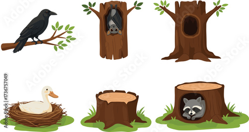 Cartoon animal habitat illustration, crow, bat, duck, raccoon, tree stump, hollow trunk, nature scene, educational vector, forest wildlife elements