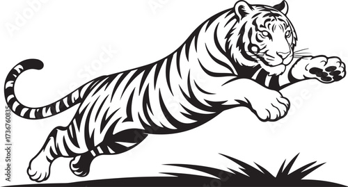 Leaping Tiger Illustration Black and White