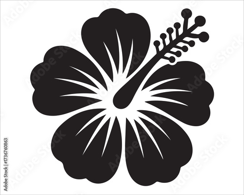 Hibiscus flower silhouette isolated on white background