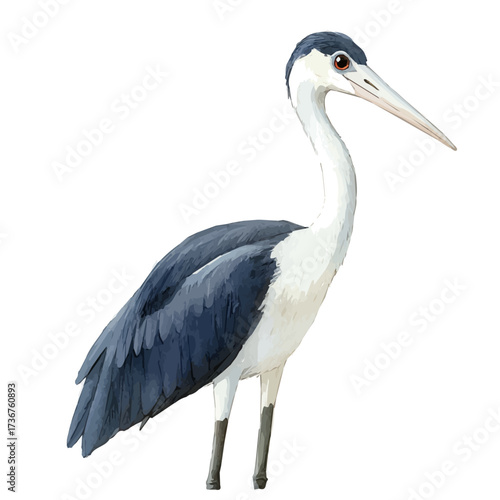 Stilts, watercolor painting vector, isolated on a white background.
