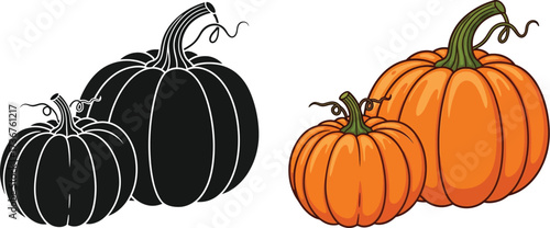 Get ready for autumn with these cute pumpkin illustrations in color and black and white