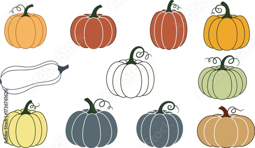Colorful pumpkins and squash vector illustration for fall harvest and thanksgiving designs