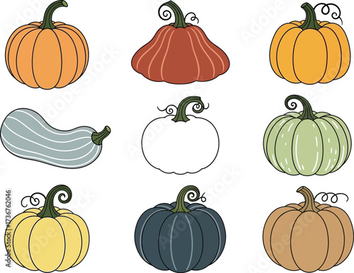 Colorful pumpkins and gourds illustration for autumn harvest and thanksgiving designs