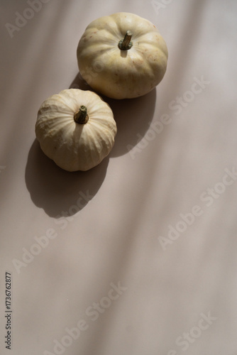 White decorative pumpkins, soft shadows, beige background, top view autumn aesthetic, copy space	