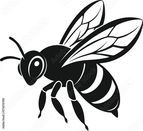 Black bee isolated on white background