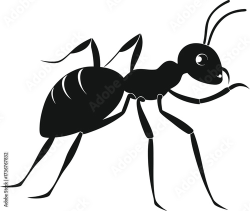 Ant silhouette isolated on white background