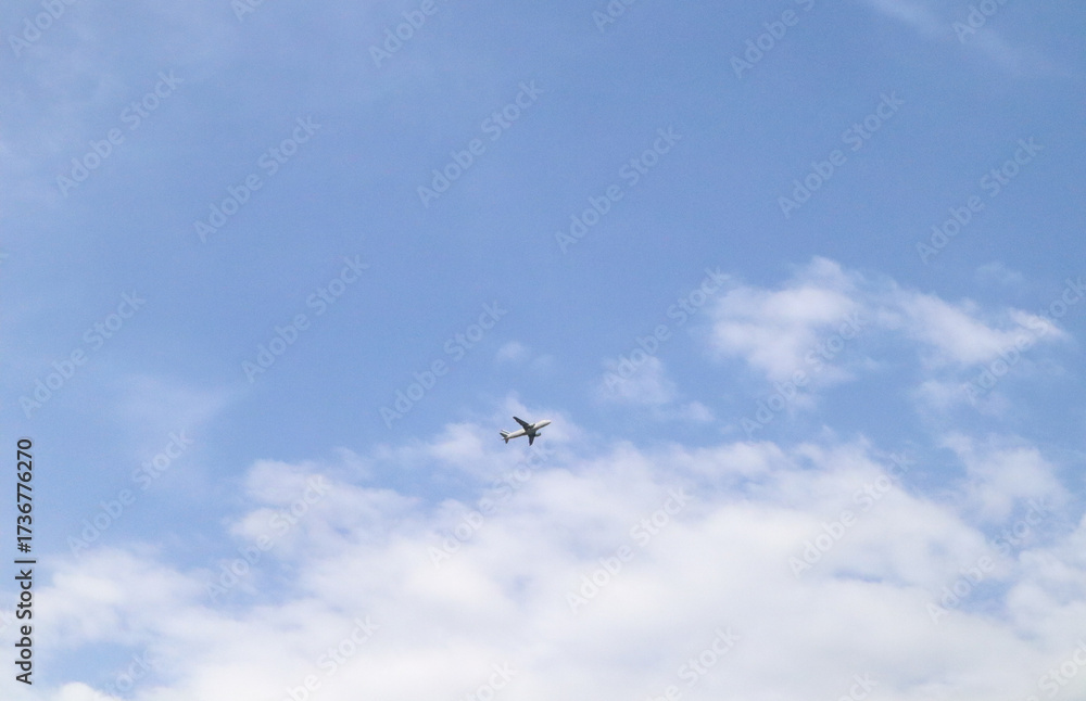 Fototapeta premium airplane flying in the sky