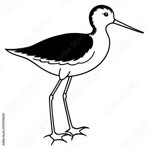 Marsh Sandpiper Bird Vector Illustration