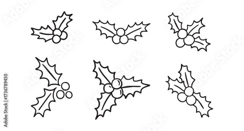 Christmas holly berries line art clipart set with leaves and clusters, monochrome collection, hand drawn.