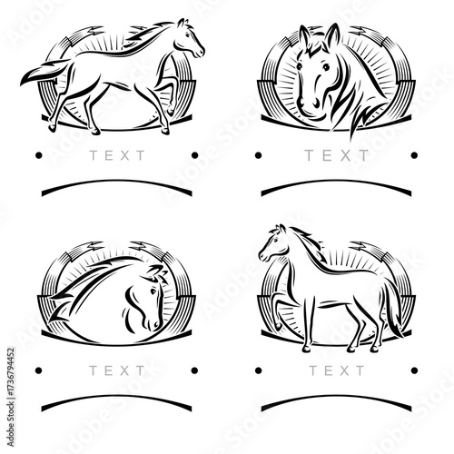Horse labels and icon set. Collection icons horse. Vector