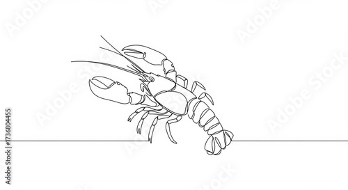 Elegant single line art: A minimalist lobster illustration on white background