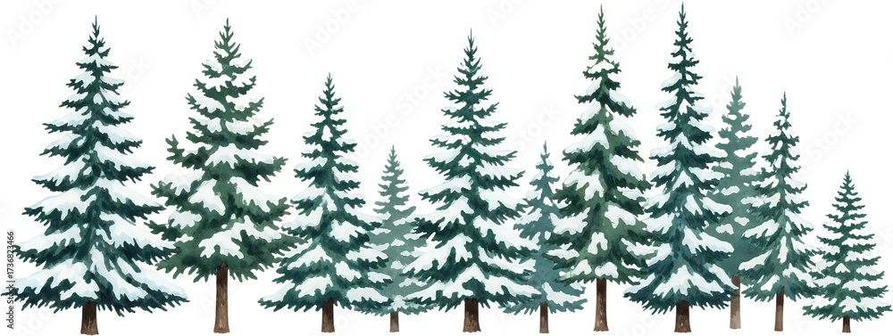 Fototapeta premium A line of snow covered pine trees in a watercolor style showcasing varying heights and dense foliage against a transparent background forest winter nature