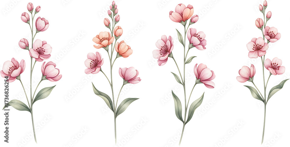 Naklejka premium Delicate pink and peach blossoms on slender stems with subtle green leaves depicted in watercolor style set against a transparent background pink flowers