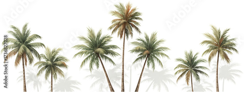 A watercolor illustration depicting a row of diverse palm trees with textured fronds and trunks against a transparent background tropical nature foliage