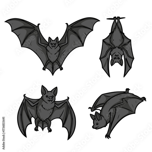 Collection four realistic bat illustrations in various poses, including flying and hanging upside down, isolated on transparent
