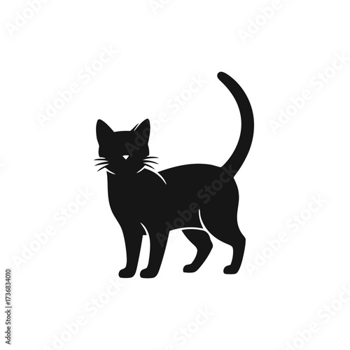 Silhouette black cat with its tail curved upwards, standing and looking forward