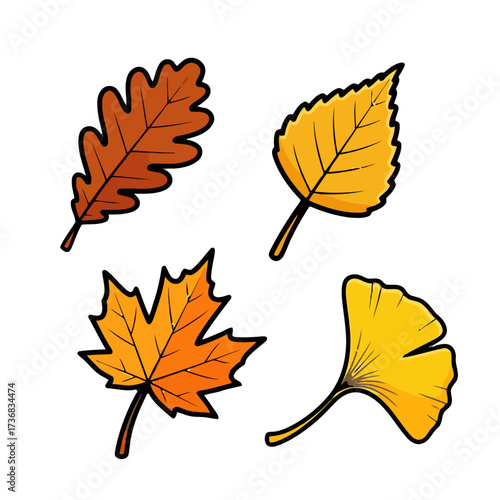 Collection four autumn leaves, including oak, birch, maple, and ginkgo, isolated on transparent, representing the fall season and nature