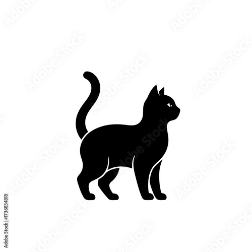 Black cat standing profile