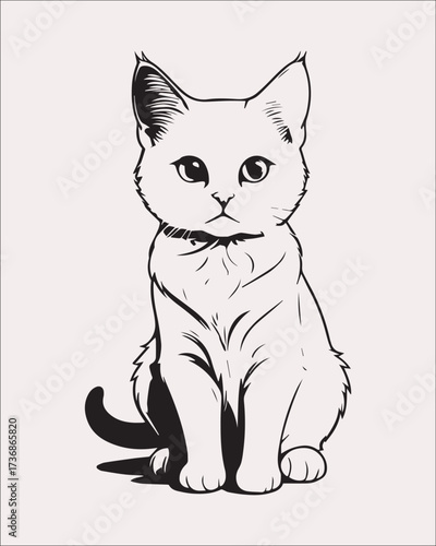 A realistic, detailed black and white outline illustration of a domestic cat sitting and looking directly forward. Ideal for coloring books, pet-themed graphics